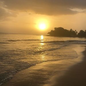 Meet your Posher, Imara